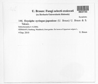 Image Associated With the Occurence